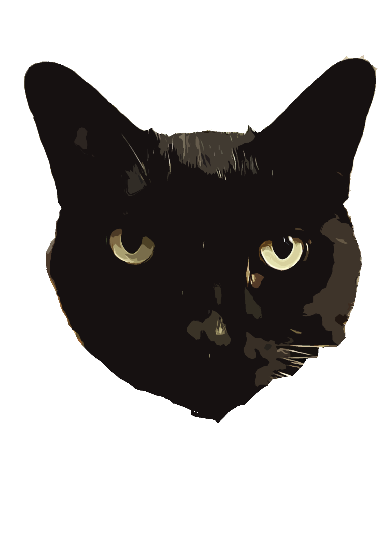 wisecat icon